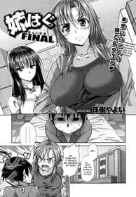 Ane Hug 4 hentai cover