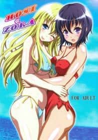 Copertina hentai di Hosi☆zora