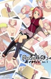 Eroi No Vol.1 Russian hentai 封面
