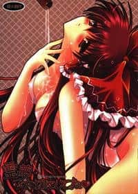 Copertina hentai di Reimu O Taisetsu Ni Shite Ne – Sanae Hen –