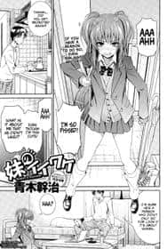 Imouto no Iiwake hentai cover